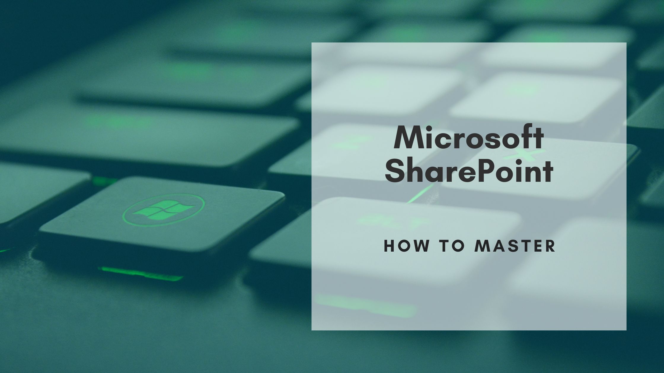 how to master microsoft sharepoint